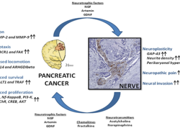 Stefanie Graf Nude Photos: Real or Fake? Heres What You Need to Know About These Pictures