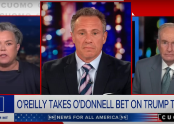 Amber O Donnell: Whats She Up To? (The Latest News and Updates)