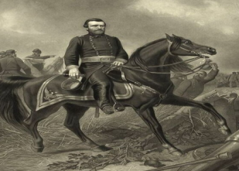 Harry Hall for Beginners: How to Start Your Horse Riding Journey!