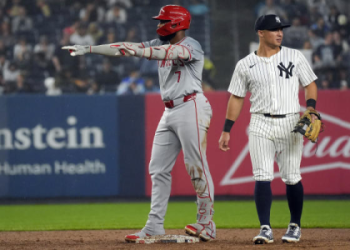 Stuck in a Yankees Rain Delay? Heres What to Do While You Wait for the Game!