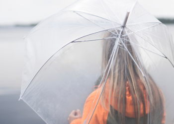 Barry University News: Whats Happening on Campus? Check the Latest Updates Here!