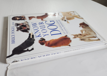 Dog bj: Everything you need to know in simple terms