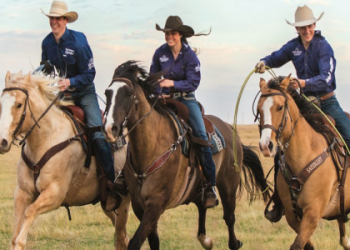 Discover Chad Frost: Everything You Want to Know About Him.