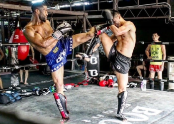 MMA Groin Protection: Essential Gear for Every Fighter, Dont Fight Without It!
