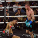 Canelo vs Munguia Purse: Biggest Fight, Biggest Payday?