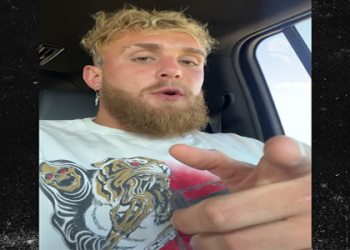 Paddy The Baddy Net Worth 2023: (You Wont Believe His Current Earnings)