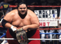 Roman Reigns Family Tree, A Simple Guide to the Anoai Wrestling Dynasty
