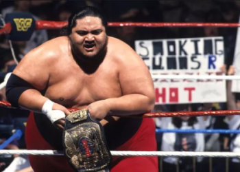 Roman Reigns Family Tree, A Simple Guide to the Anoai Wrestling Dynasty