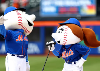 Meet the Minnesota Timberwolves Mascot (Fun Facts You Wont Believe)