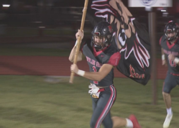 Baseball Guessing Game Grid: How to Play and Win! (Simple Tips for New Players)