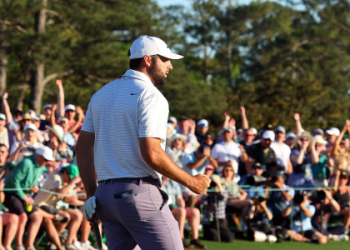 Sara Scheffler: Get to Know Her (Career & Latest News)