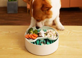 Eat It Big Time Crossword Answer: Solve the Puzzle in Minutes!