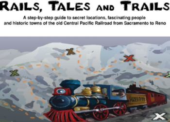 Learn About Thomas A Daly: Beginner-Friendly Explanation