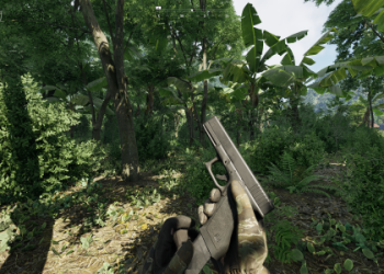 the more the merrier gray zone