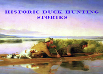 Dealing with Glover Swamp Ass? Find best to get rid of it.