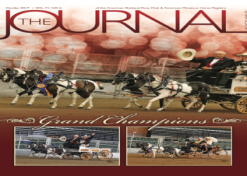 Understanding the Norma Dumont Dump Truck Nickname.