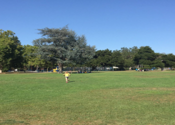 La Rinconada Baseball Stadium Seating: Tips on Getting the Best View at the Game!