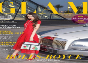 divesh merani: Explore His Career and Projects easy.