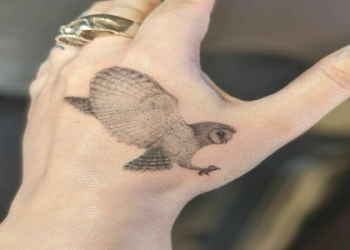 Owl Hand Tattoo: Whats the Meaning? Check This Out!