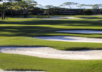 Is Seth Waugh net worth growing? A look into his career earnings and financial journey.