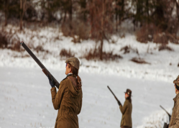 Need a Charles Sale Hunt? Weve Got the Latest Sales Here!