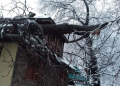 when a tree falls gray zone
