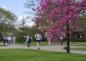 Demitri Allison: Quick Facts & Key Career Highlights (Easy Guide)