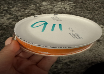 Is the Popeye the Sailor Man Movie 2024 actually happening? Get the latest confirmation news and updates here.