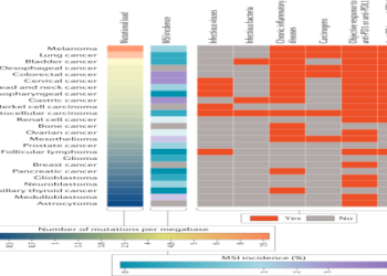 Paul vs Cerundolo Prediction: Head-to-Head Stats! (Who Has the Edge?)