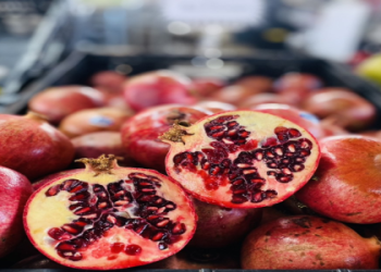 T22 Farms: Your Guide to Fresh, Local Produce Today!