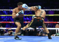 Teofimo Lopez Net Worth Revealed: The Truth About His Earnings