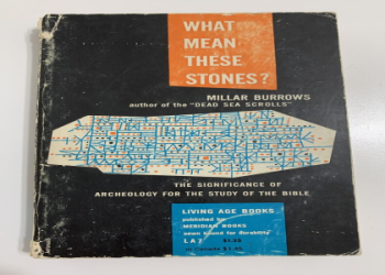 Abigail Burrows: Everything you need to know about her life