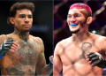 Dillon Danis vs Paige VanZant: The Ultimate Showdown Guide