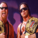 How many wwe tag team champions have there been? See the complete historical list!