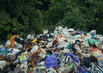 Get started with even a little bit nyt easy ways to apply these helpful tips to your daily life?