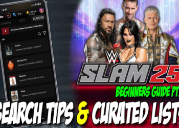 Checking WWE Cards Value: A simple price guide.