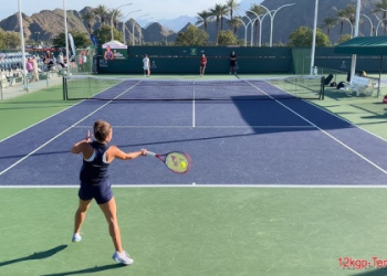 Growing Paolini Jasmine: Easy Tips for Beginners