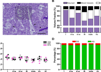 Understanding Benavidez vs Andrade stats: Key metrics you absolutely need to know for fight predictions.
